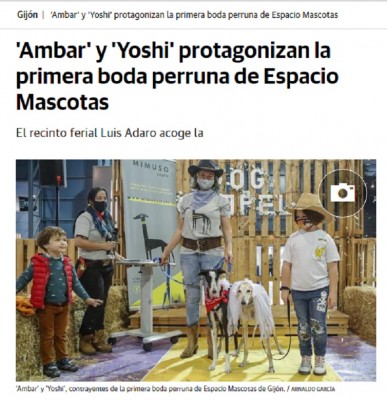 boda perros gijon animalismo.jpg