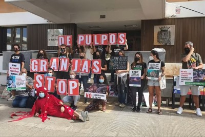 No granjas de pulpos efe.jpg