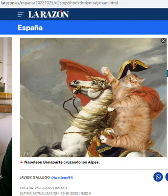 Gato Napoleón.png