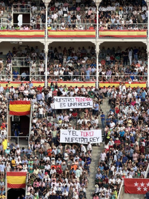Tendido siete a Roca Rey.jpeg