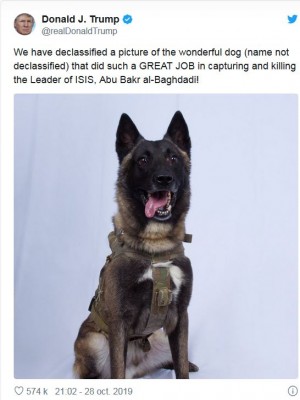 Animales guerra perro Trump isis.JPG