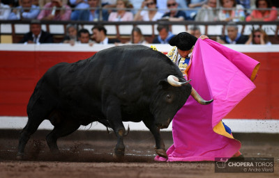 Antonio Ferrera.jpeg