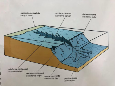 cañon de nazaré y plataformas.jpg