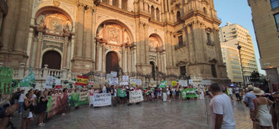 partidopacma malaga.jpeg