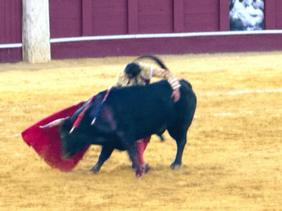 Juan Ortega.jpg