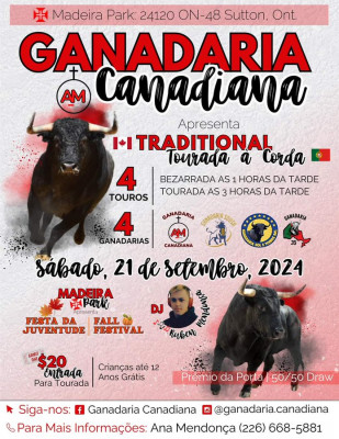 Toros en Canadá.jpg