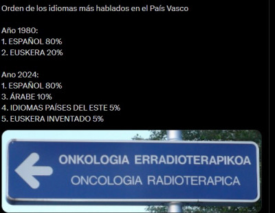 idiomas vascos.jpg