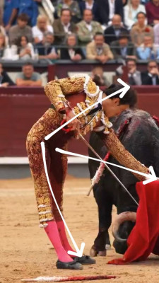 Roca Rey en Las Ventas.jpg