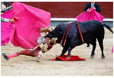 Cogida de Roca Rey.jpg