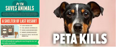 Peta USA Saves and Kills.jpg