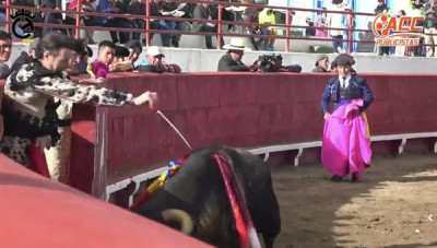 Juan Serrano Finito de Córdoba mata desde el burladero.jpg
