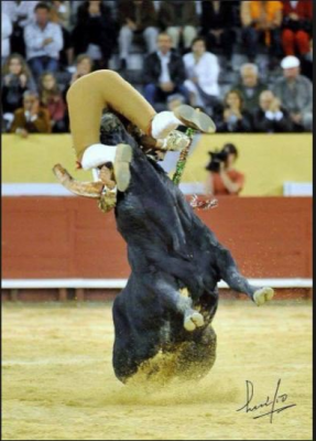 forcado y toro.png