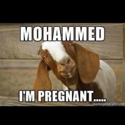 violador pregnant.jpg