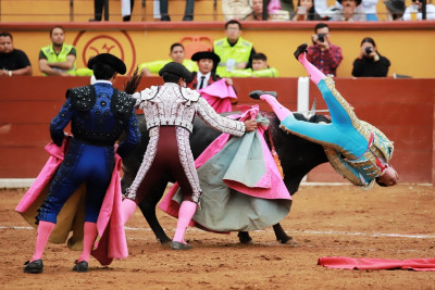 Emilio Macía cogido en Tlaxcala.jpg